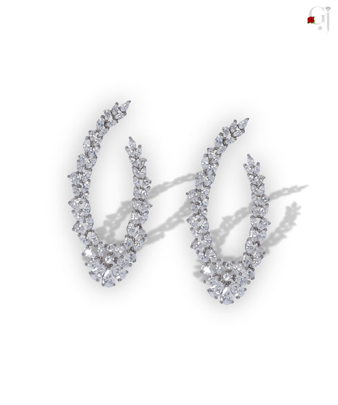 SILVER LUXURY CURVED EARRINGS